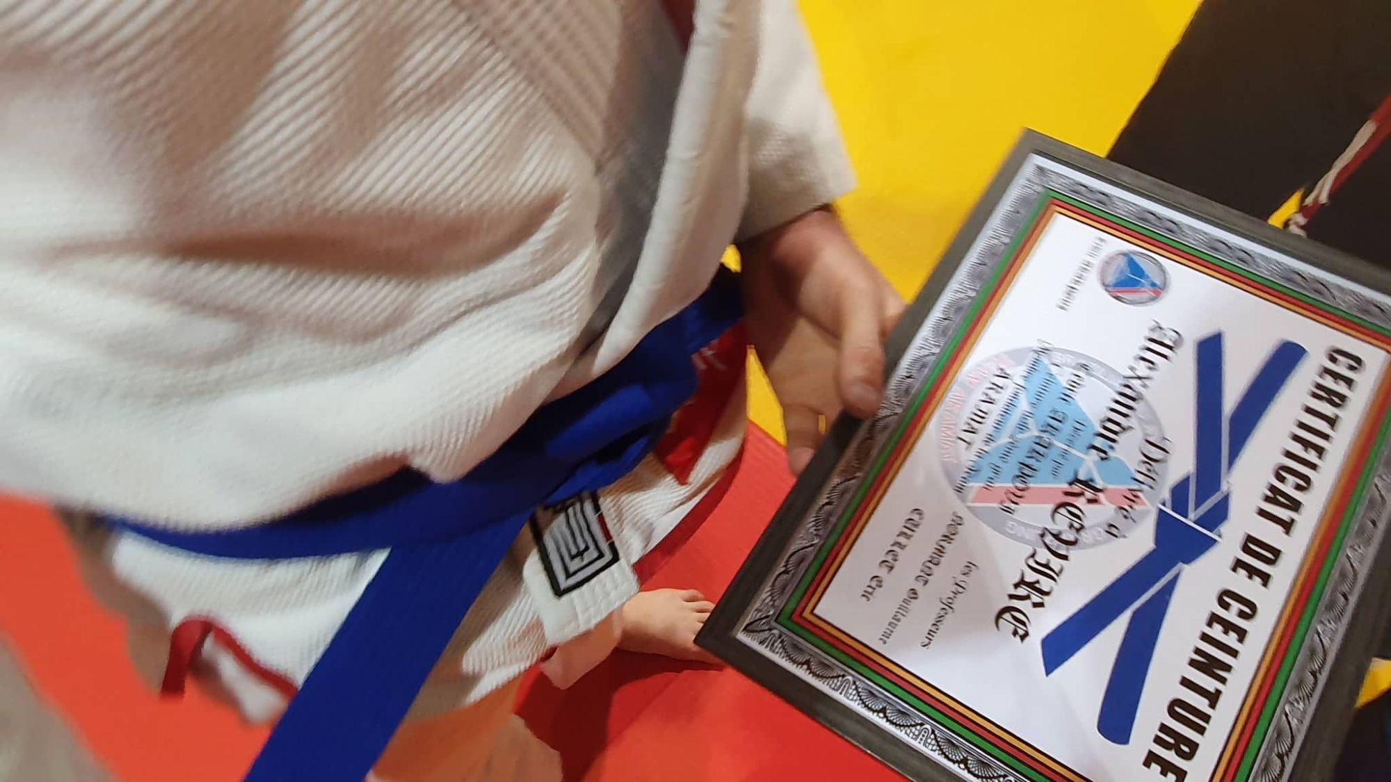 Ceinture Bleue de Jiujitsu Brésilien