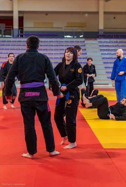 Curriculum ceinture violette