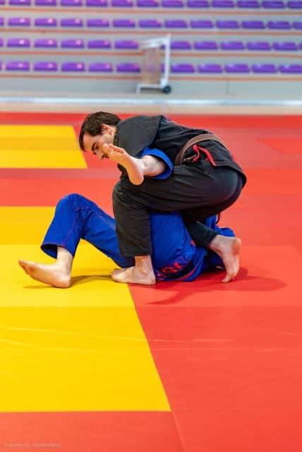 Curriculum ceinture marron