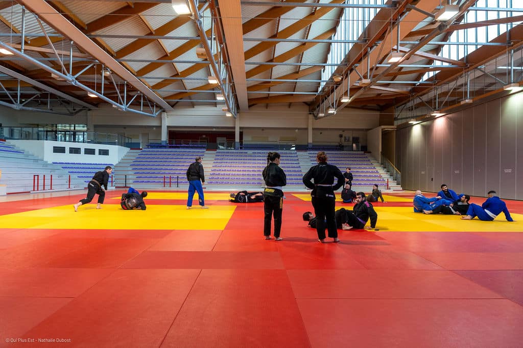 shin gi tai