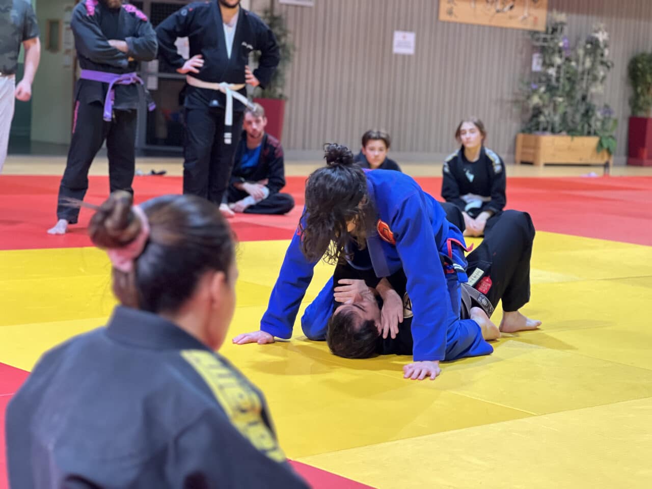Position montée en jiu-jitsu brésilien