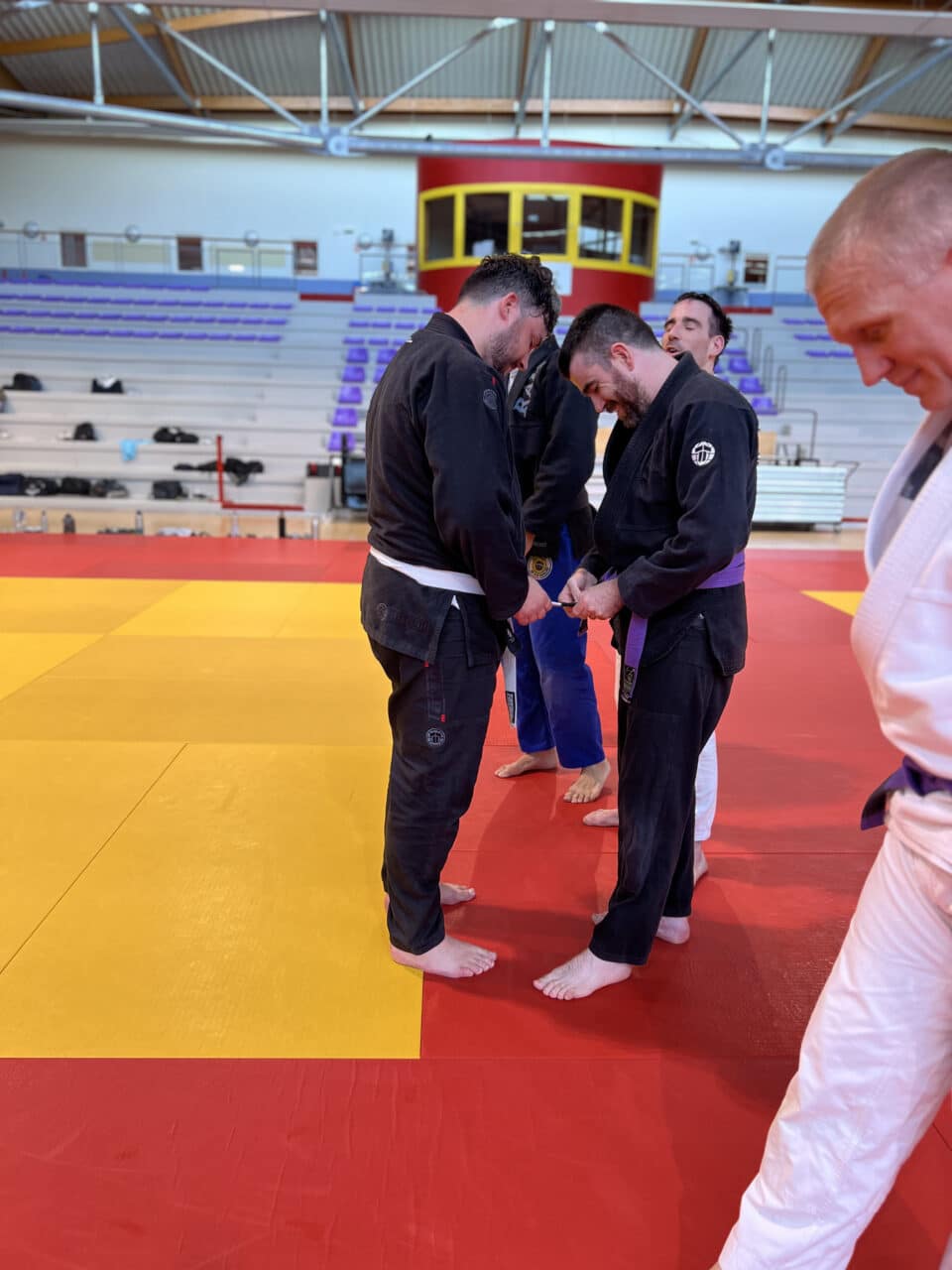 Remise de ceinture violette en jiu-jitsu brésilien sur tatami