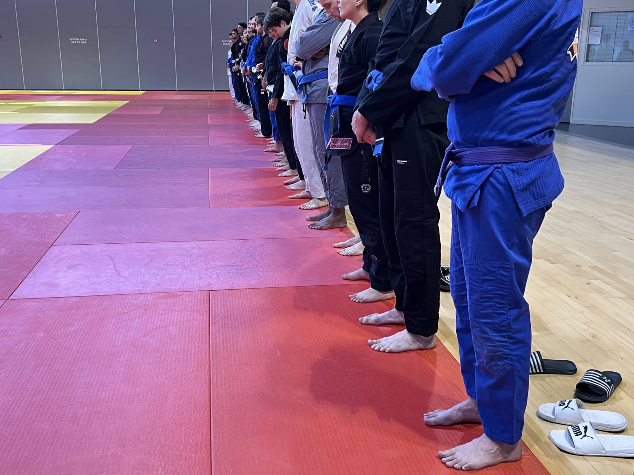 Pratiquants de judo alignés pieds nus sur tatami rouge